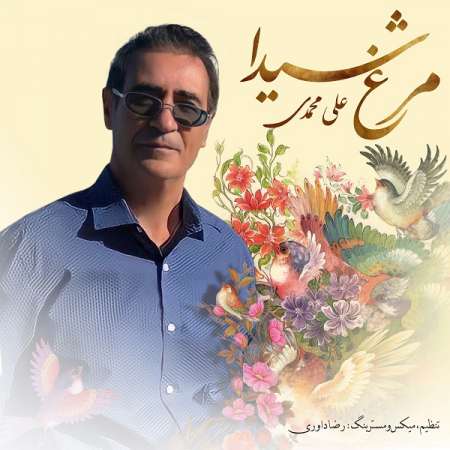 Ali Mohammadi – Morghe Sheyda